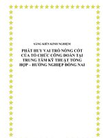 skkn phát huy vai trò nồng cốt của tổ chức công đoàn tại trung tâm kỹ thuật tổng hợp – hướng nghiệp đồng nai