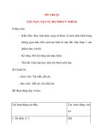 Giáo án lớp 4 môn MỸ THUẬT TẬP NẶN: NẶN TỰ DO THEO Ý THÍCH. pps