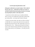 8 cách đơn giản mang thiên nhiên vào nhà pps