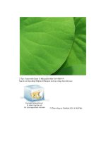 Giáo trình hướng dẫn thực hiện kỹ thuật phối màu cho ảnh trong photoshop phần 9 pptx