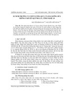 Báo cáo nghiên cứu khoa học: 