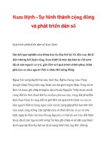 Nam Định - Sự hình thành cộng đồng và phát triển dân số pdf