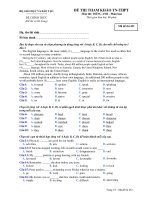 ĐỀ THI THAM KHẢO TN-THPT Môn thi: TIẾNG ANH - Mã đề thi 452 potx