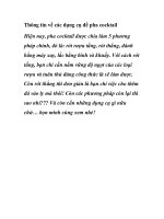 Thông tin về các dụng cụ để pha cocktail docx