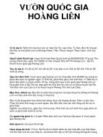 VƯỜN QUỐC GIA HOÀNG LIÊN pps