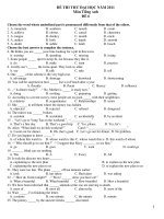 ĐỀ THI THỬ ĐẠI HỌC NĂM 2011 Môn Tiếng Anh- ĐỀ 6 pptx