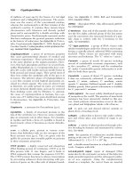 A Dictionary of Genetics phần 3 pot