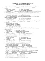 KỲ THI THỬ TUYỂN SINH ĐH – CĐ NĂM 2011 MÔN: TIẾNG ANH – MÃ ĐỀ 09 doc