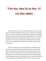 Văn học như là tư duy về cái khả nhiên doc