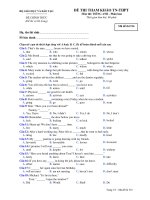 ĐỀ THI THAM KHẢO TN-THPT Môn thi: TIẾNG ANH - Mã đề thi 516 ppt