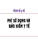 phí sử dụng và bảo hiểm y tế
