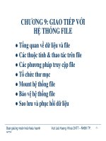 LÝ THUYẾT HỆ ĐIỀU HÀNH - CHƯƠNG 9 doc