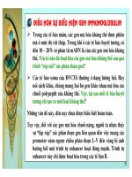 Điều hòa gene hệ miễn dịch ở động vật có xương sống part 11 potx