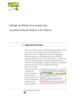 Gebruik van Writely potx