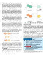 Công nghệ gene : Cơ sở phân tử của di truyền part 2 pptx