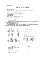 Giáo trình -Răng hàm mặt-chương 1 pot