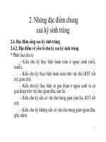 Bài giảng Lý thuyết KST pdf