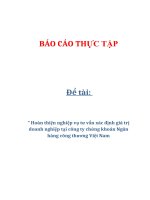 Đề tài: “ Hoàn thiện nghiệp vụ tư vấn xác định giá trị doanh nghiệp tại công ty chứng khoán Ngân hàng công thương Việt Nam pptx