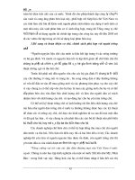 Giáo trình hướng dẫn cách thức thực hiện phương thức công nghiệp hóa nền sản xuất chè của Việt Nam phần 8 ppt