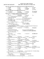 ĐỀ ÔN TẬP TN THPT NĂM 2011 MÔN: TIẾNG ANH (CHUẨN VÀ NÂNG CAO) pdf