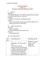 Giáo án âm nhạc lớp 3: HỌC HÁT: BÀI CON CHIM HAY HÓT ppsx