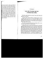 Các loại thực phẩm thuốc và thực phẩm chức năng ở Việt Nam part 5 pptx