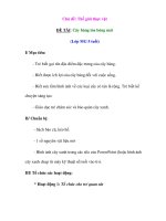 Chủ đề: Thế giới thực vật ĐỀ TÀI: Cây bàng tỏa bóng mát pptx