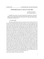 Báo cáo nghiên cứu khoa học: 