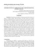 Báo cáo nghiên cứu khoa học: 