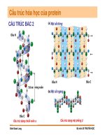 Di truyền học phân tử và tế bào : Cấu trúc, đặc tinh, chức năng của các đại phân tử sinh học part 10 pot