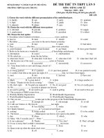 ĐỀ THI THỬ TN THPT LẦN 5 MÔN: TIẾNG ANH 12 Năm học : 2010 – 2011 pdf