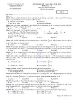 ĐỀ THI HỌC KỲ I NĂM HỌC: 2010- 2011 MÔN: VẬT LÝ pps