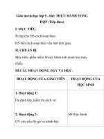 Giáo án tin học lớp 5 - bài: THỰC HÀNH TỔNG HỢP (Tiếp theo) pps