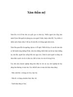 Xăm thẩm mỹ ppsx