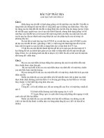 bai tap trac dia pot