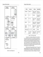kiến trúc máy tính Vũ Đức Lung phần 8 pptx