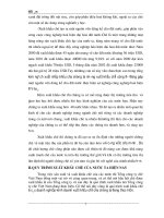 Giáo trình hướng dẫn cách thức thực hiện phương thức công nghiệp hóa nền sản xuất chè của Việt Nam phần 2 pot