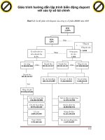 Giáo trình hướng dẫn lập trình biến động dupont với các tỷ số tài chính p1 ppsx
