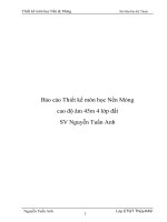 Báo cáo thiết kế môn học nền móng cao độ âm 45m 4 lớp đất SV nguyễn tuấn anh