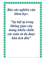 Báo cáo nghiên cứu khoa học: 