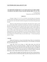 Báo cáo nghiên cứu khoa học: 