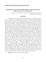 Báo cáo nghiên cứu khoa học: 