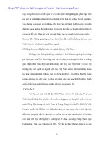 Đẩy mạnh xuất khẩu dệt may vào các thị trường Phi Hạn Ngạch - 6 pot