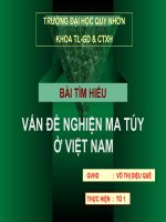 VẤN ĐỀ NGHIỆN MA TÚY Ở VIỆT NAM