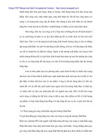 Hàng dệt may Việt Nam trên thị trường Nhật và phương hướng thúc đẩy - 3 pot