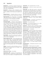 A Dictionary of Genetics phần 5 ppsx