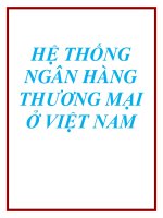 HỆ THỐNG NGÂN HÀNG THƯƠNG MẠI Ở VIỆT NAM docx