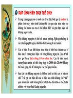 Điều hòa gene hệ miễn dịch ở động vật có xương sống part 6 docx