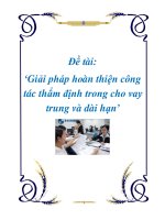 Đề tài: Giải pháp hoàn thiện công tác thẩm định trong cho vay trung và dài hạn doc
