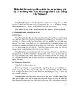 Giáo trình hướng dẫn cách tìm ra những giá trị từ những khu vực khoáng sản ở các vùng Tây Nguyên phần 1 docx